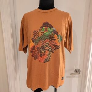 Levi's Graphic Tee in Earthy Tones